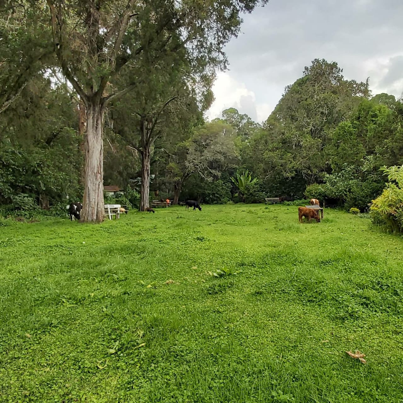 Land for sale