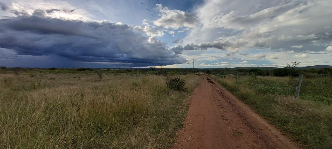 Land for sale image 6