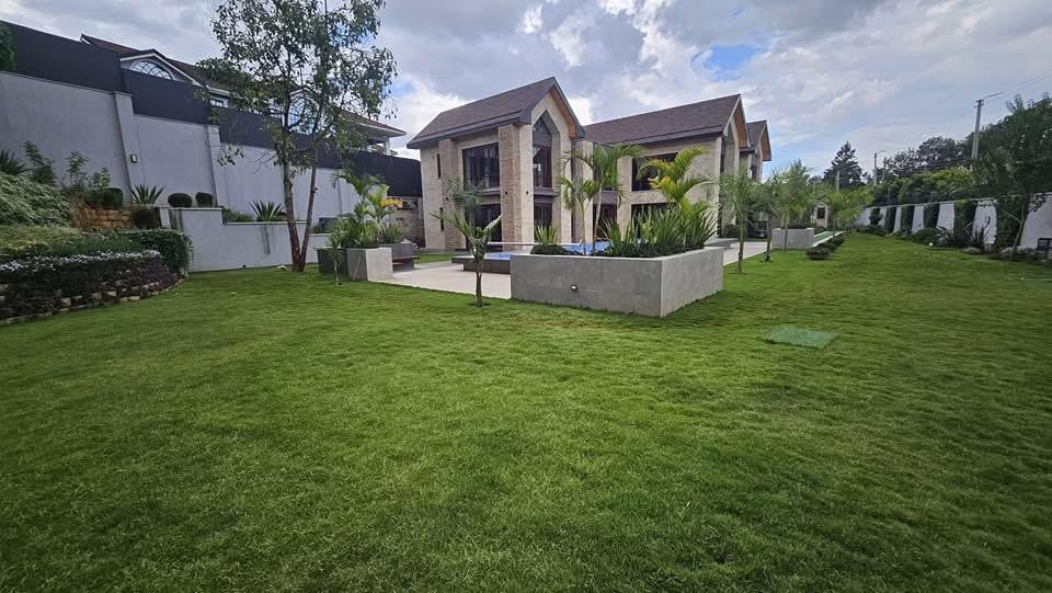 5 Bedroom image 10