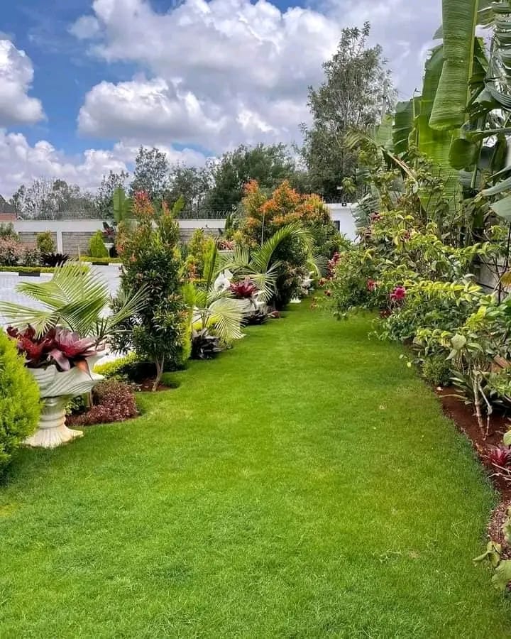 7-Bedroom Townhouse with DSQ for Sale in Karen image 6