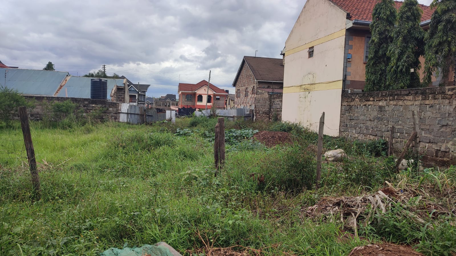 Land image 5