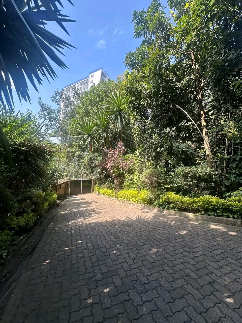 Land image 5