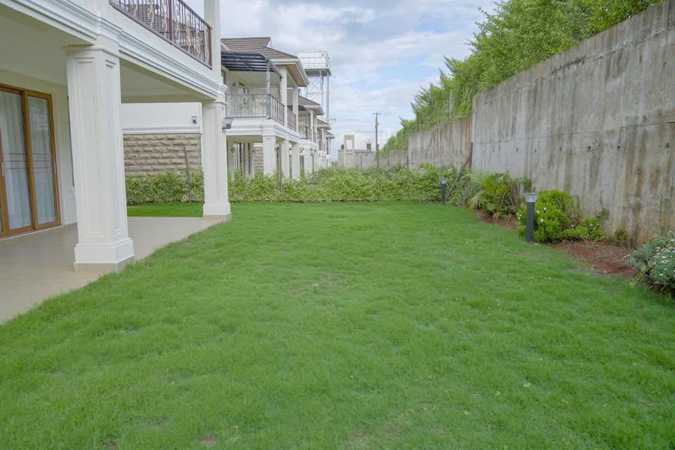 5 Bedroom image 7