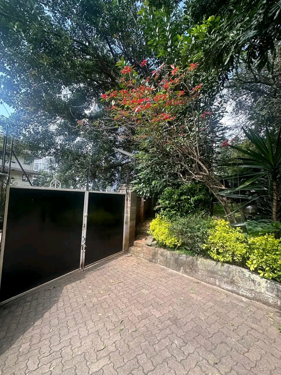 Land image 3