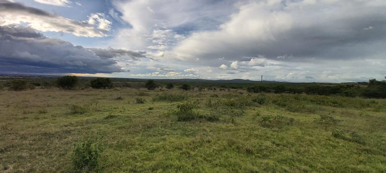 Land for sale image 7