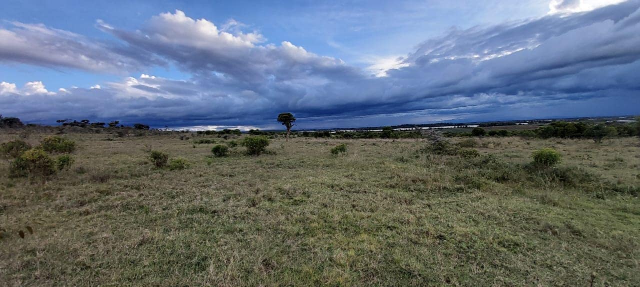 Land for sale image 5