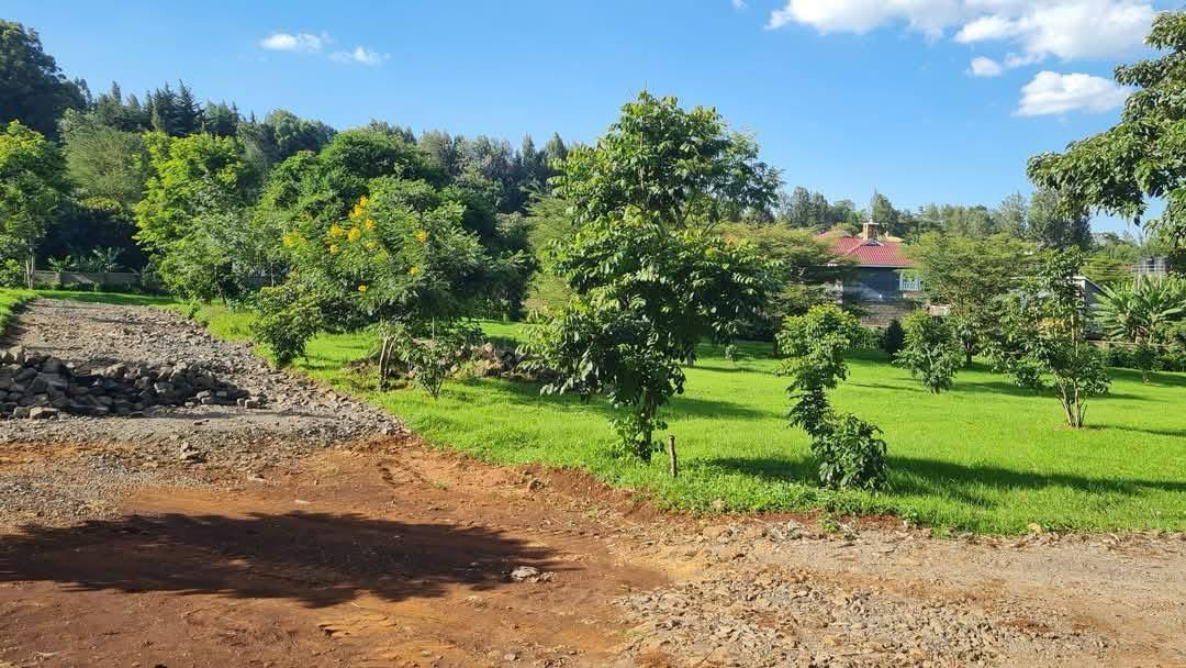 Land image 2