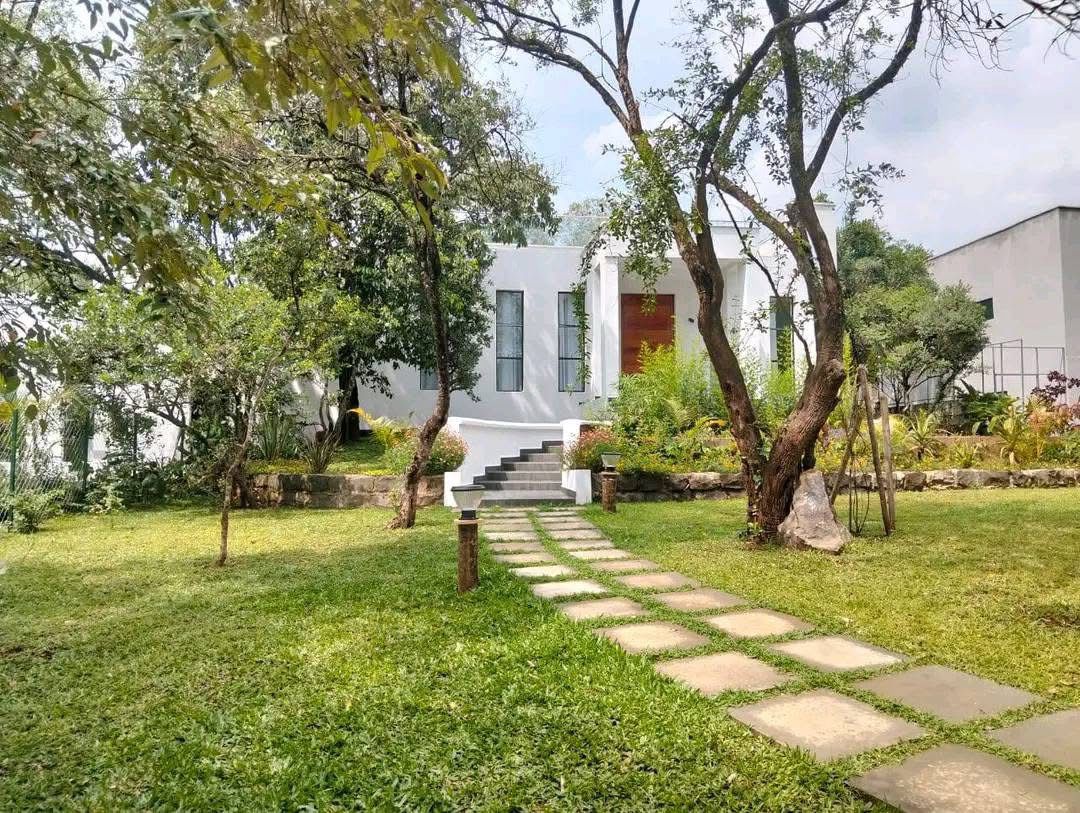 3 Bedroom image 10
