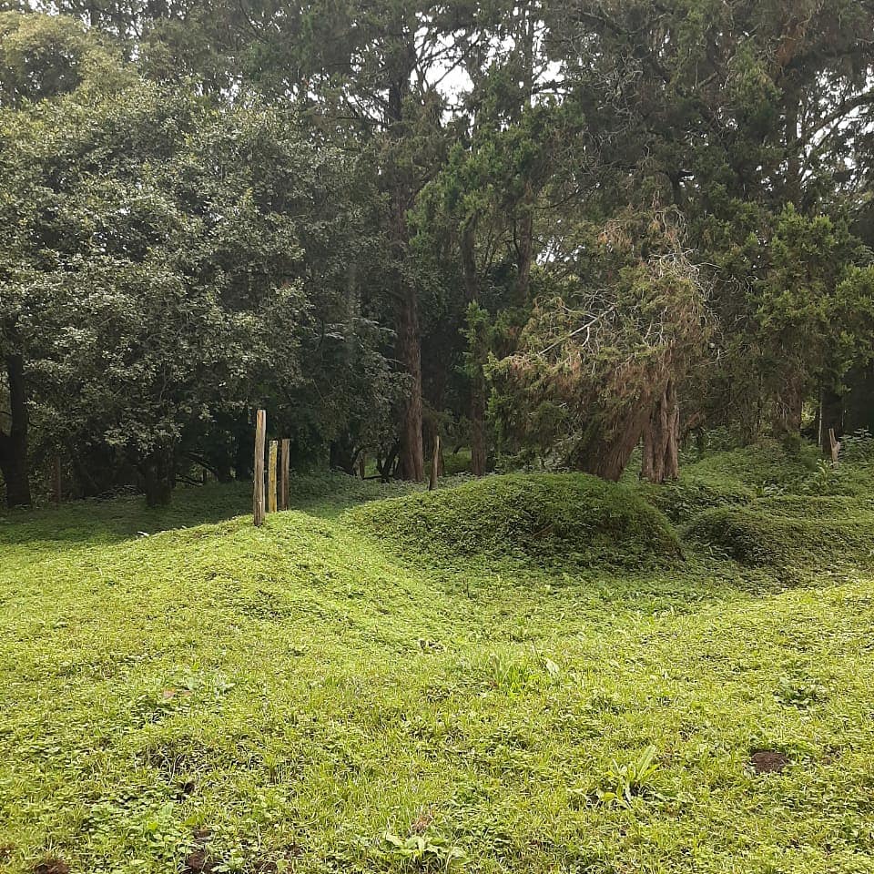 Land for sale image 8