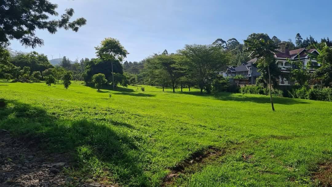 Land image 5
