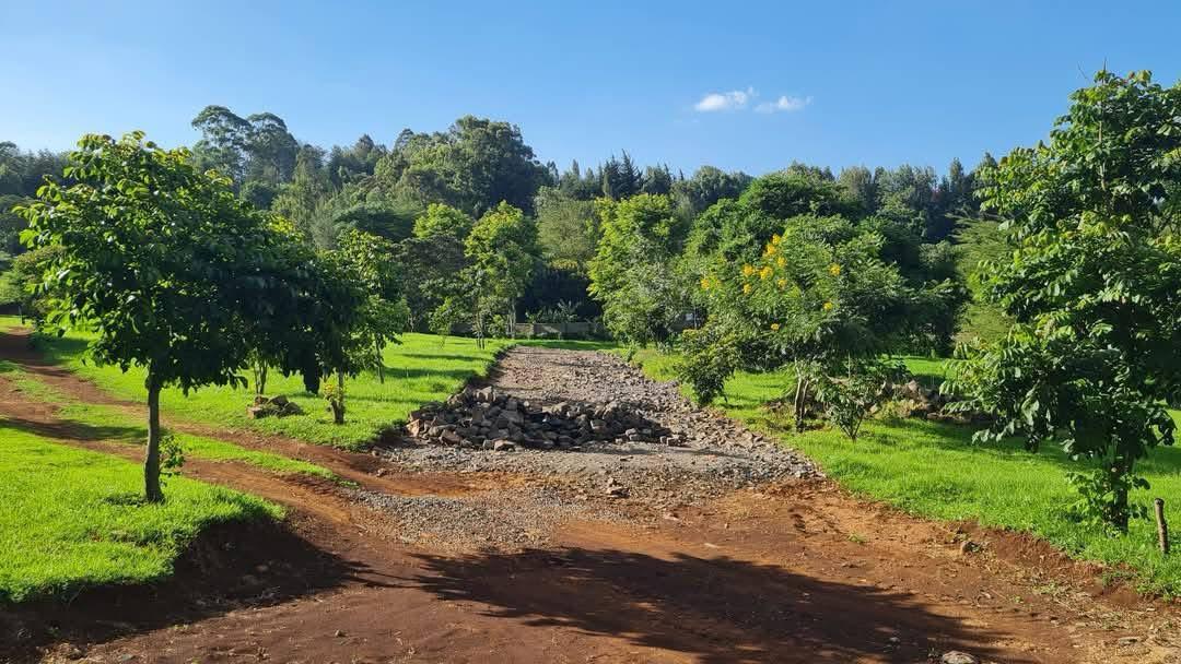 Land image 3