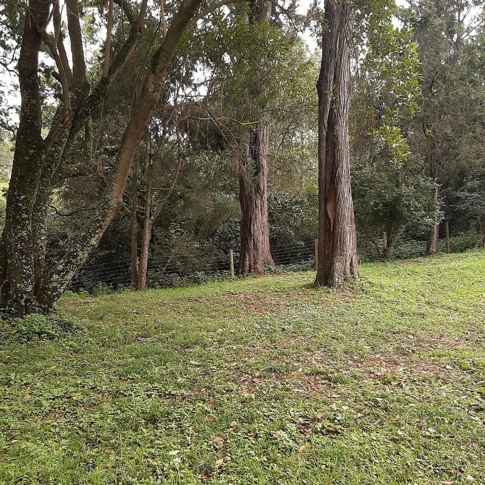 Land for sale image 7