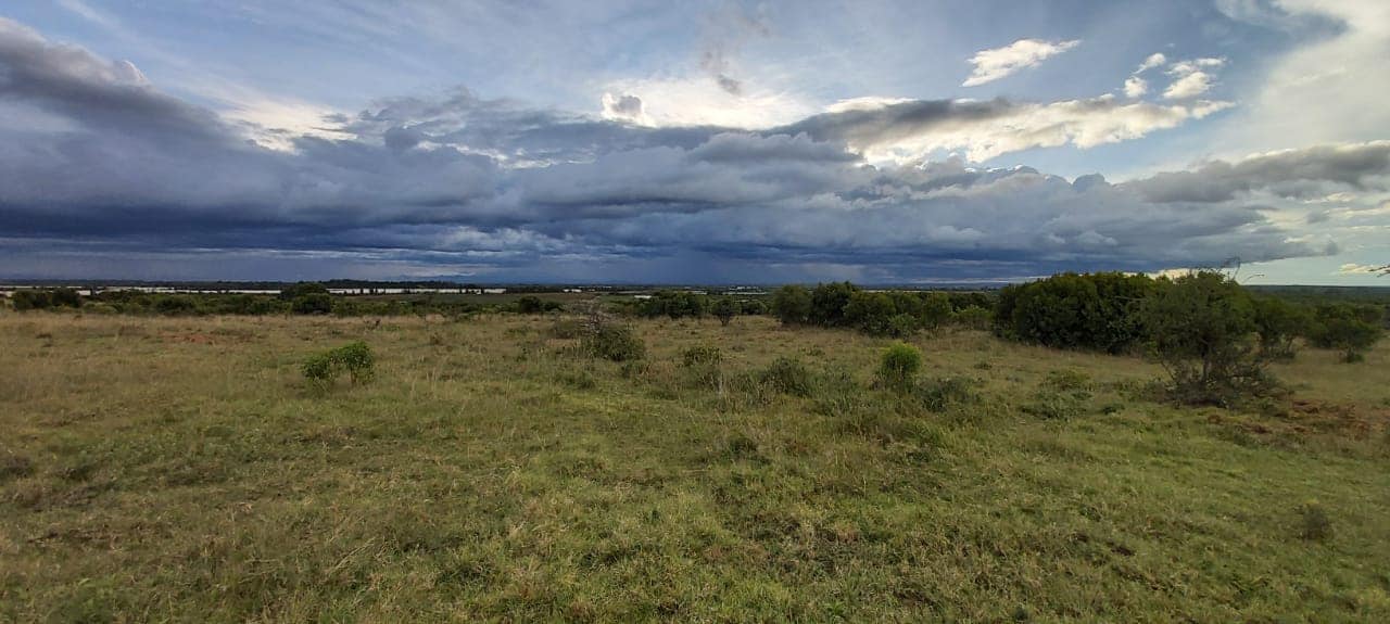 Land for sale image 3