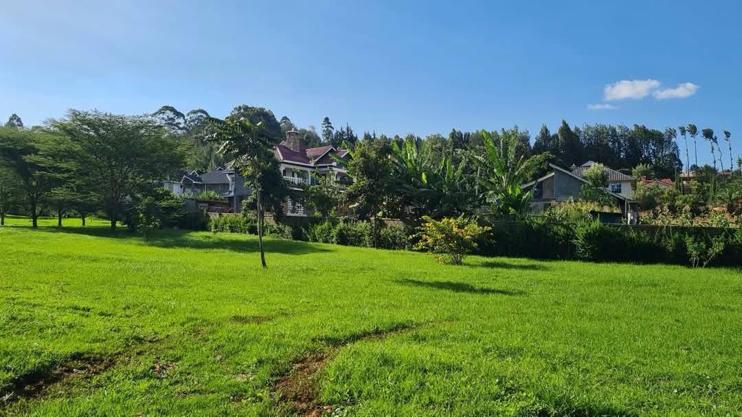 Land image 6