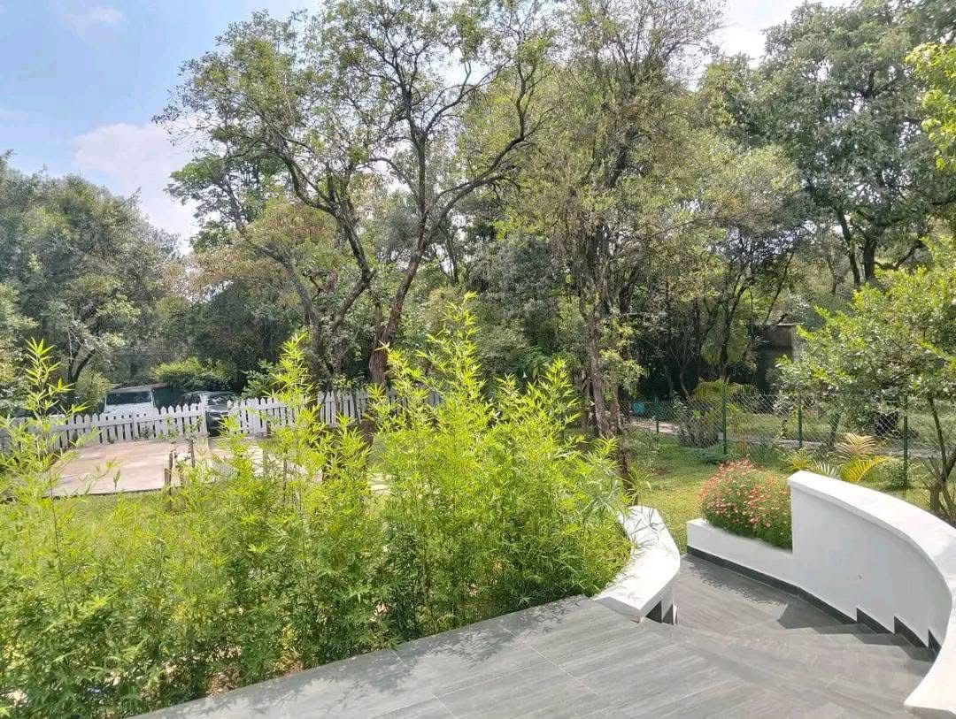 3 Bedroom image 8