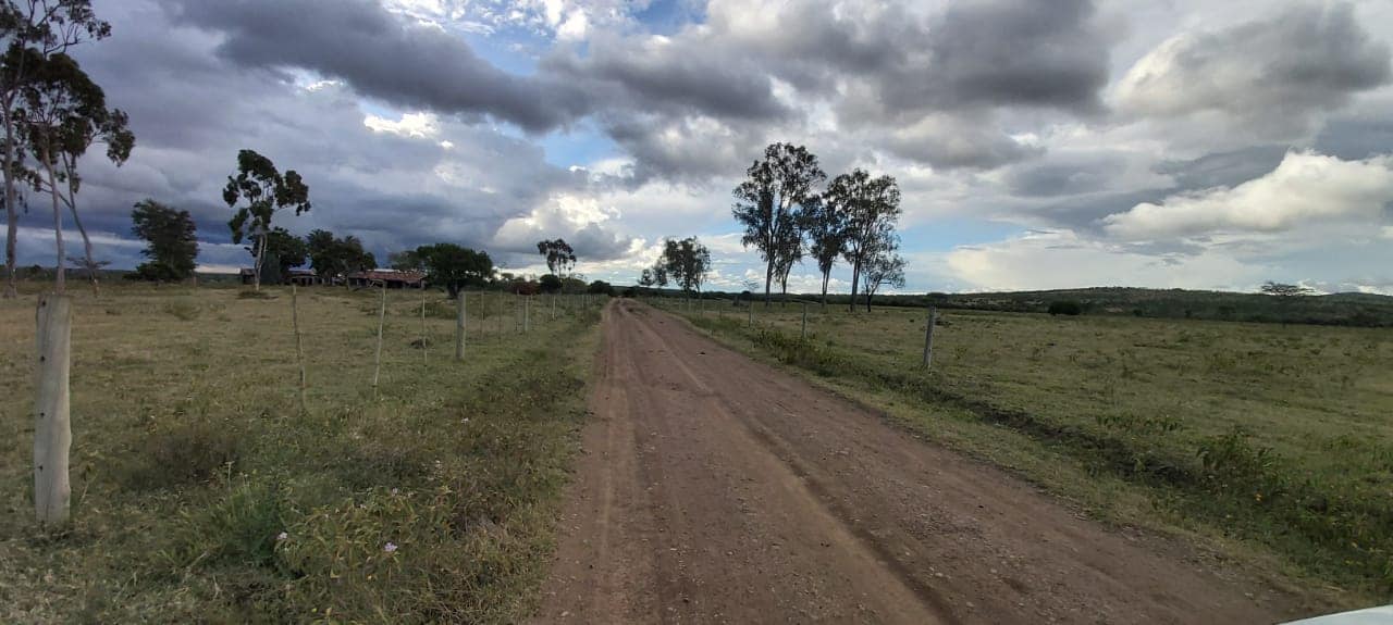 Land for sale