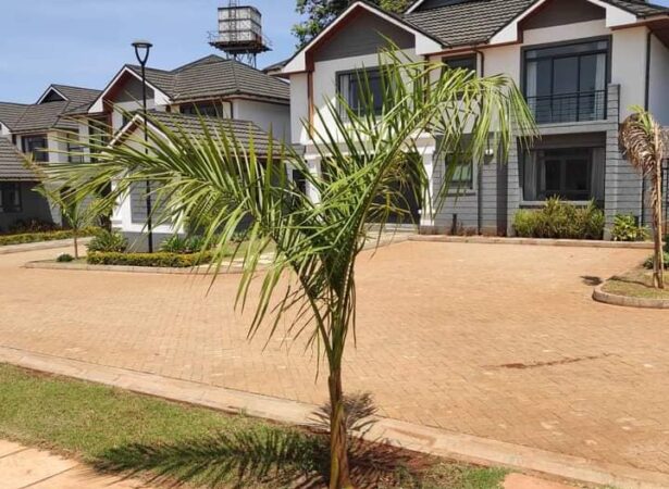 Petlif Properties