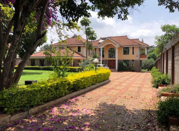 Petlif Properties