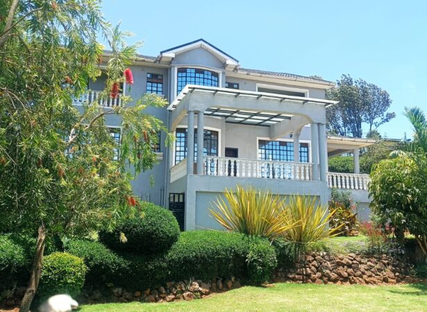 Petlif Properties