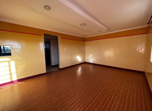 Petlif Properties